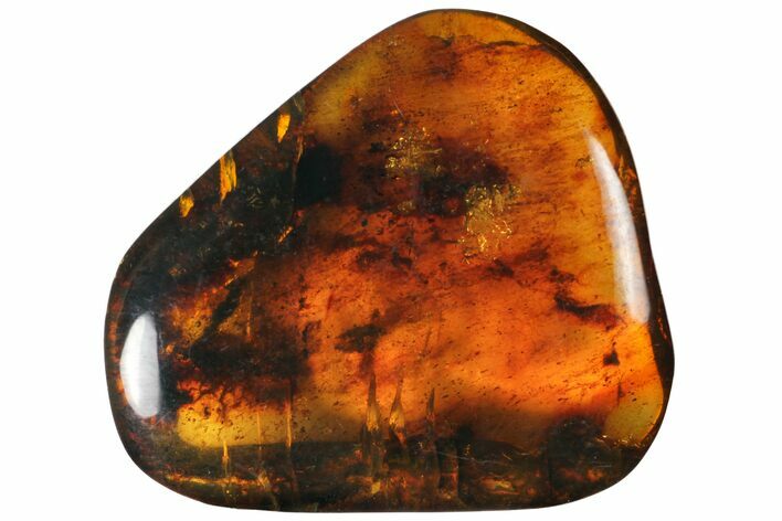 Polished Chiapas Amber ( g) - Mexico #114861